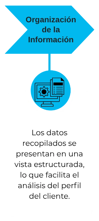 Los datos recopilados se presentan en una vista estructurada, lo que facilita el análisis del perfil del cliente.