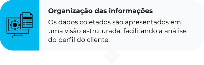 Os dados coletados são apresentados em uma visão estruturada, facilitando a análise do perfil do cliente.