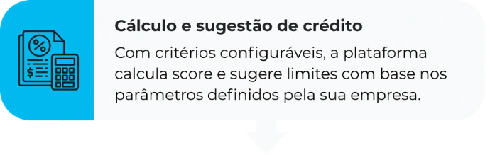 Com critérios configuráveis, a plataforma calcula score e sugere limites com base nos parâmetros definidos pela sua empresa.