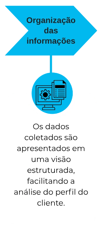 Os dados coletados são apresentados em uma visão estruturada, facilitando a análise do perfil do cliente.