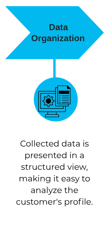 Collected data is presented in a structured view, making it easy to analyze the customer's profile.
